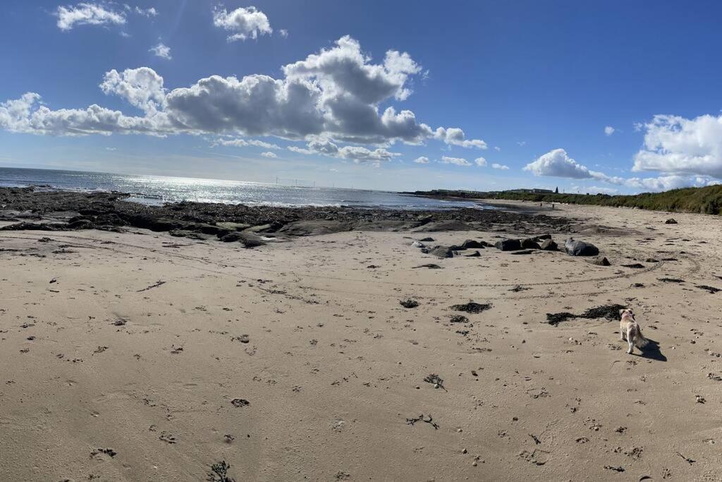 Villa The Fairways Hideaway - Northumberland à Newbiggin-by-the-Sea Extérieur photo